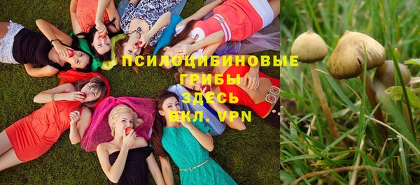 спайс Инсар