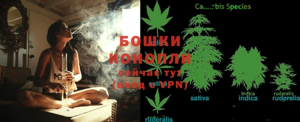 спайс Инсар