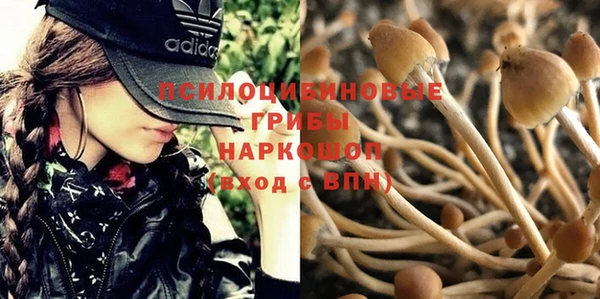 спайс Инсар