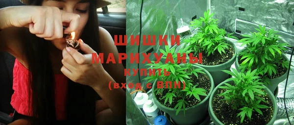 спайс Инсар