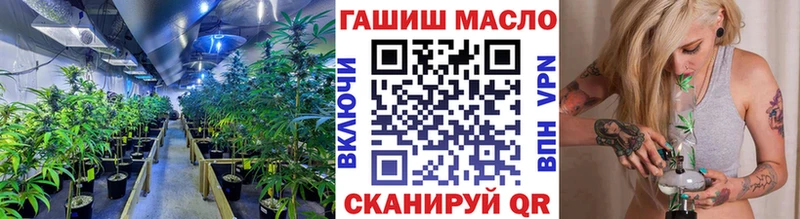 Купить  Дорогобуж  ТГК концентрат 