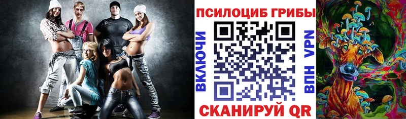Купить закладки Дорогобуж Галлюциногенные грибы мухоморы